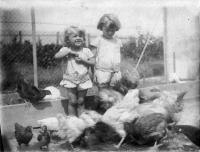 1926/27, at grandparents´from mother´s side, Nová Huť at Plzeň, summer house, Hana and Tatiana paying with chickens that their grandmother kept as pets