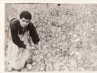 Ioannis Nitsios working on a cotton field in Tashkent