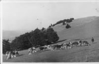 Meadows in Javorníky-Karlovice 1938