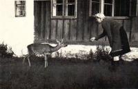 The mother of Eduard Steun with the deer Lilly in 1949 in Zlatá Studna