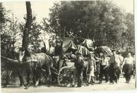 Na této fotografii při stěhování je Milada v popředí, jako první jde Antonín Zápotocký (zdroj: osobní archiv p. Cábové)