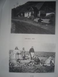 Pictures from Volhynia II.