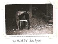 The district forest school of the Jiráskova region - August 1946