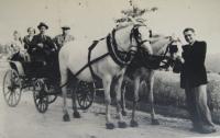 Koňské spřežení rodiny Jančí - vpředu pamětník, na kozlíku jeho otec Alois