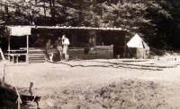 Central area of the BIKINI camp, 1946