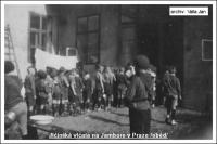 The cub Scouts of Jičín at the 1931 Jamboree