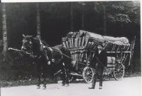 Transportation of wood from the forest in Domašov (Thomasdorf)