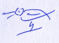 A canary which Čermák draws next to his signature