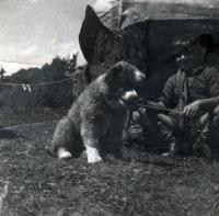 asi skautský tábor Turzovka 1937: Táborek, věrný strážce