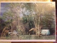 the camp in the bushland