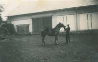 Coachman with a mare, Úboč, 1936