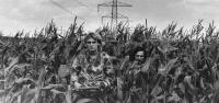 Ospald and Pohl in a corn field by the border.
