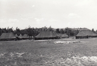 American camp in Borský park 1945