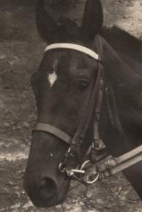 Horse God, Pohořelec 1954