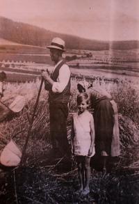 Sklizeň obilí, vlevo Vlastin otec, Vlasta; okolí Úboče, 1934 nebo 1935