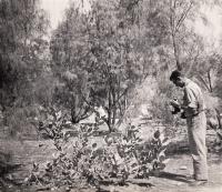 Jan Jedník in Kabul in polo-park - around 1961