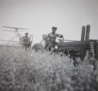 Work on the field in 1947. Jan Sklenář Jr. driving the tractor.