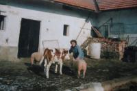 Novák family's homestead in the Větrovy village