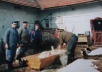 Her son and husband, Miloslava and a butcher during a pig slaughter