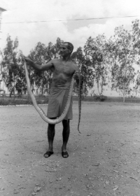 Mr. Giboda holding a snake during his stay in Cambodia in 1983