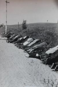 Mass killing in Bořislavka in Prague - 1945
