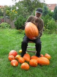 Marek -pumpkins 2010