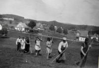 Hay turning, Rotava, turn of the 1940s and 1950s