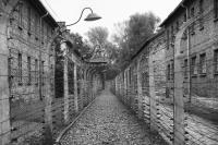 Auschwitz (photo by Jindřich Buxbaum).