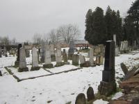 Jewish cemetery in Tovacov