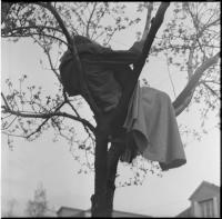 Petr Štembera – Sleeping on a Tree, 1975, performance documentation, historical photograph