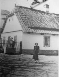 03 rodný dům Františka Víška (otec Věry) ve vesnici Božejovice