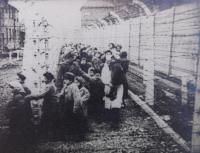 Fotografie dětí v koncentračním táboře v Osvětim. Druhý a třetí zpředu dvojčata Jiří a Josef Fischerovi