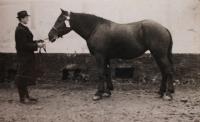 Jitka's father with a horse