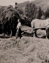 Rudolf Pompe jako malý chlapec během práce na hospodářství