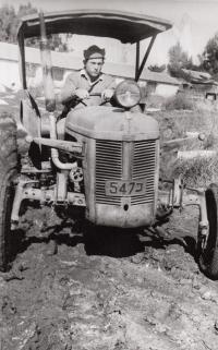 Ako traktorista v kibuci Kfar Hamakaby, rok 1955