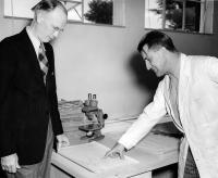 Prof. Krajina with A.Hutchinson, head of Botany at UBC, about 1950
