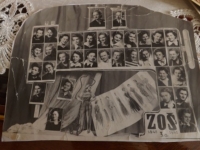 Board of dressmakers, 1948-1951