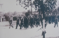 Odsun Němců z Nýřan do Plzně, 1945