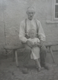 Grandfather in Bečov