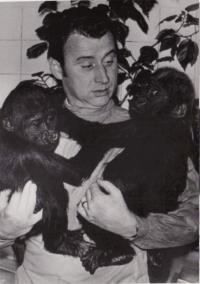 Josef Koutecký with the Prague zoo gorillas