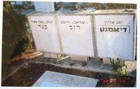 Památník letecké katastrofy (Tel Aviv), jméno Hanuše Rezka uprostřed