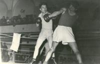 Box - J. Hradec vs Znojmo 14:2, 19.04.1958