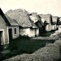 1942 - Nechory, the village wine cellars