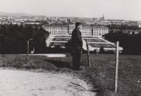 Schönbrunn (1964)