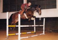 From equestrian training