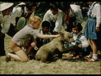 The film Little Bears (1957), in which Vietnamese children from an orphanage star: little Vietnamese pioneers bring a baby elephant as a gift to Czech pioneers. In return, they get a bear cub Brumla...