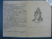 Documents from ABS files