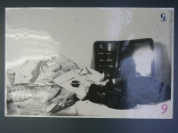 Photographs from the investigation file