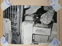 Photographs from the investigation