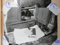 Photographs from the investigation